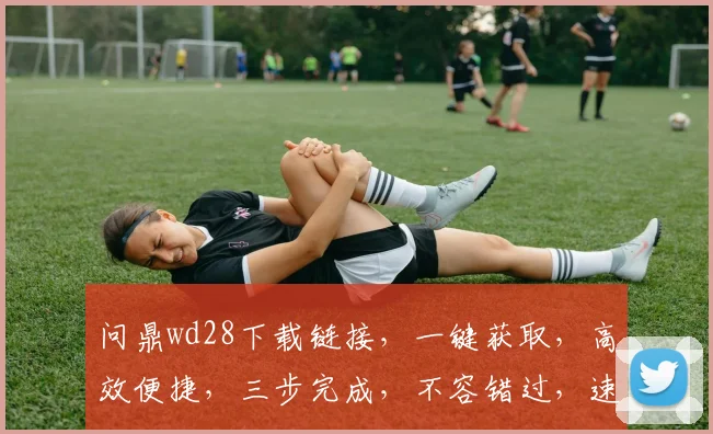 问鼎wd28下载链接，一键获取，高效便捷，三步完成，不容错过，速来体验