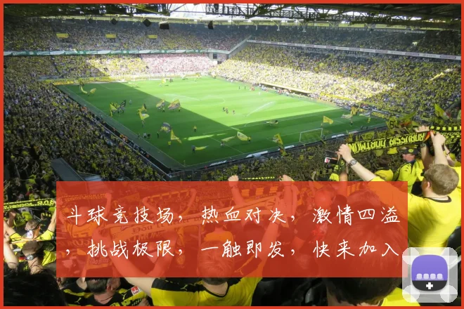 斗球竞技场，热血对决，激情四溢，挑战极限，一触即发，快来加入