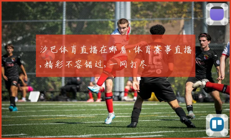 沙巴体育直播在哪看,体育赛事直播,精彩不容错过,一网打尽